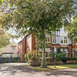 Acorn , Harrogate United Kingdom
